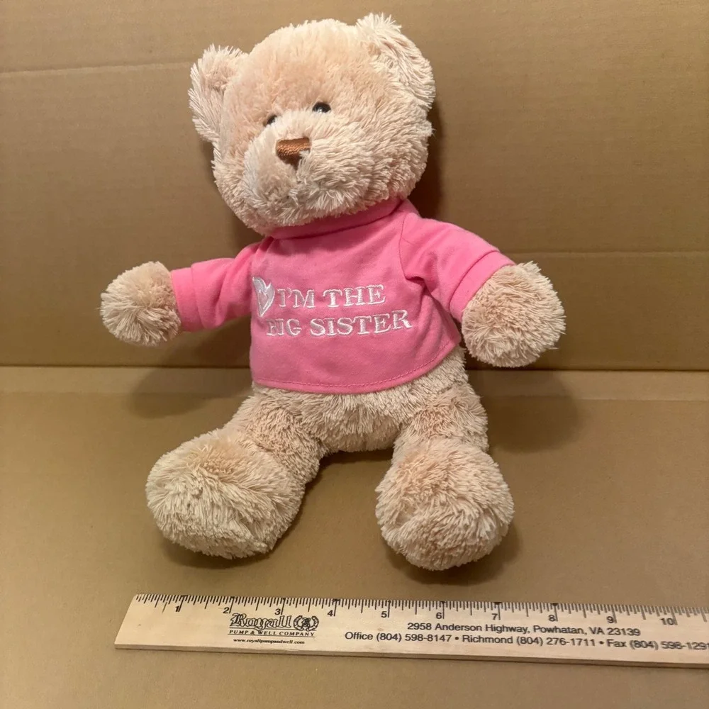 Gund I'm The Big Sister Teddy Bear Plush Stuffed Animal‎ Toy Gift Pink Shirt